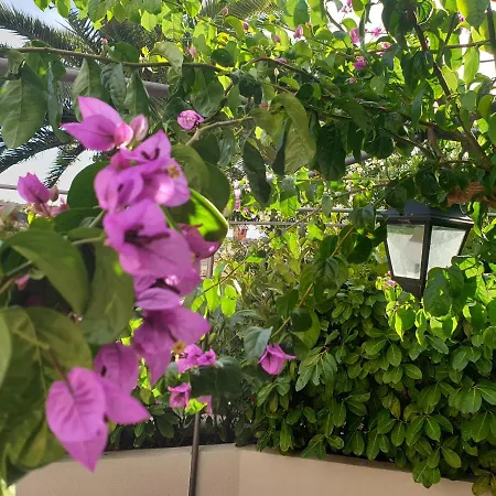 Fay Διαμέρισμα